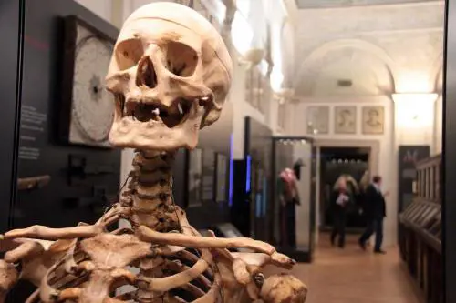 Quando Cesare Lombroso andava a caccia di "criminaloidi" nella Rivoluzione Francese