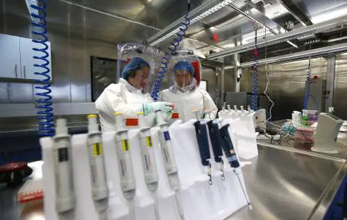 "Un insetto scappato dal laboratorio". Cosa c'è di vero nel report su Wuhan