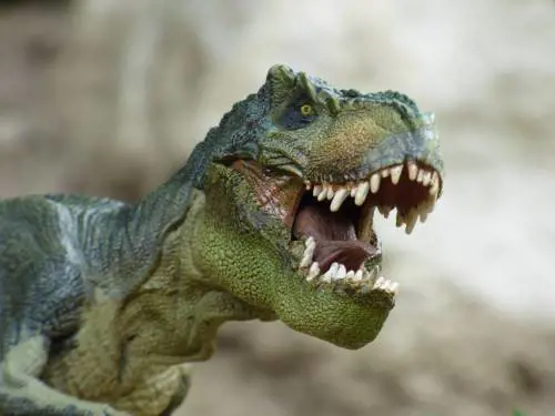 L’ultimo delirio woke: “I nomi dei dinosauri siano più inclusivi”