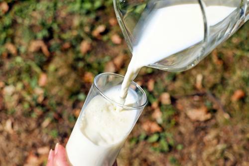 Follie alimentari dell'Ue: bocciato l'emendamento contro il "finto latte"