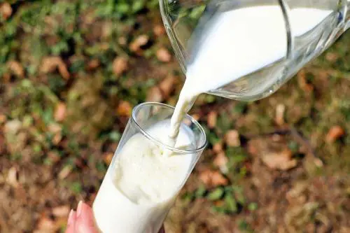 Follie alimentari dell'Ue: bocciato l'emendamento contro il "finto latte"