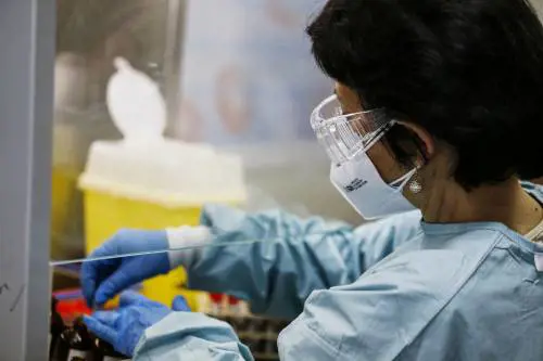 Covid, scoperta "l'infezione abortiva": così rende immuni