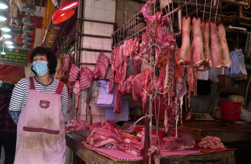 Mossa anti virus della Cina. Stop al festival della carne di cane