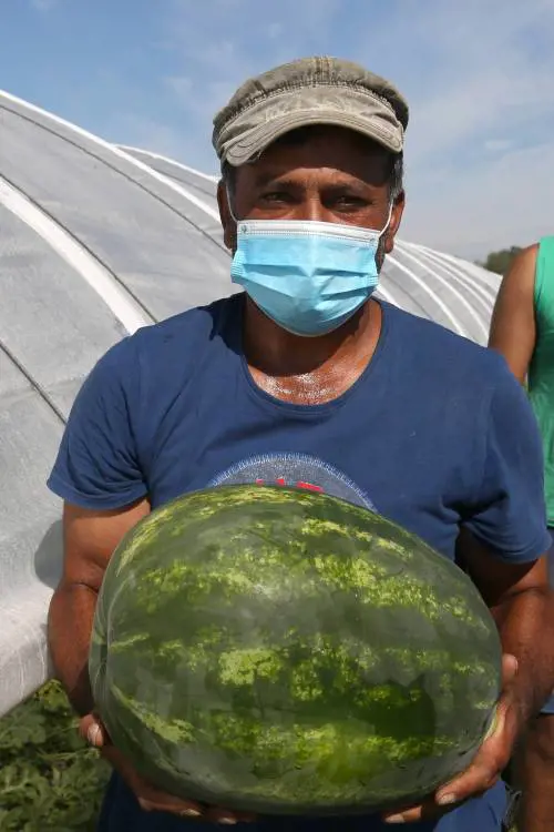 Shabbar Abbas, 47 anni