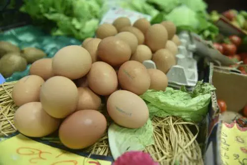 Scatta l'allarme salmonella: cosa fare per evitare rischi
