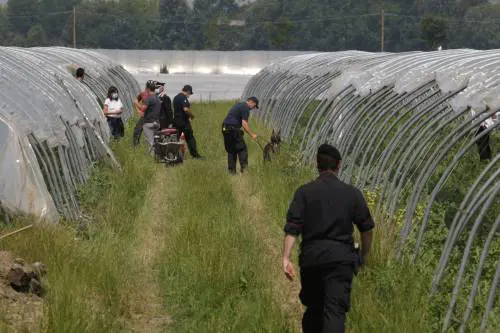 Zolle anomale sul terreno "Il cadavere di Saman sotto la serra di angurie"