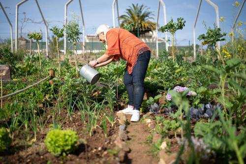 Green Therapy: quando orto e giardino ringiovaniscono gli over