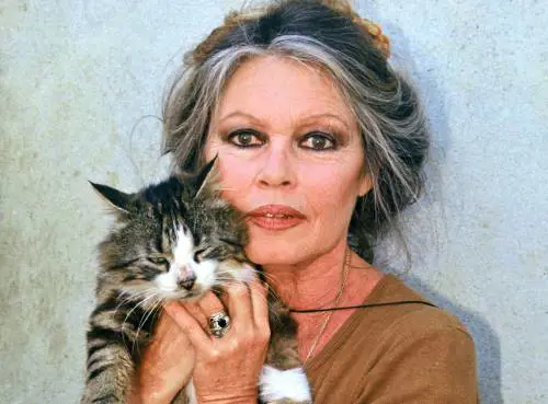 Brigitte Bardot, eterna ribelle anche a 80 anni