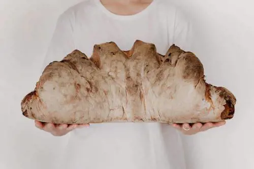 Si fa presto a dire pane Da Aosta alla Sicilia ecco i 50 forni migliori