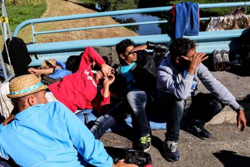 "Migranti intercettati a Trieste": scatta l'allerta al confine