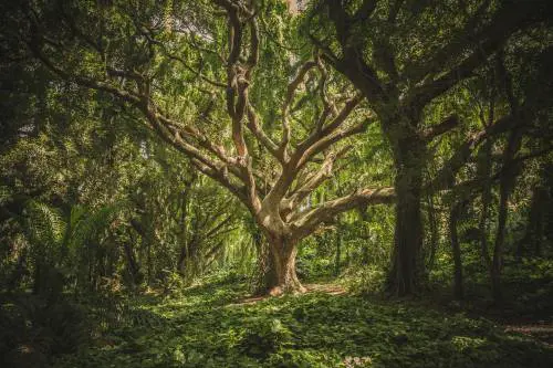 "Una sintesi dell'equilibrio tra uomo, natura e storia"