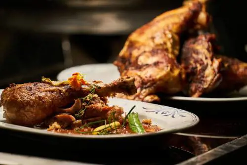 Arriva il pollo sintetico coltivato col reattore: cosa potrà accadere