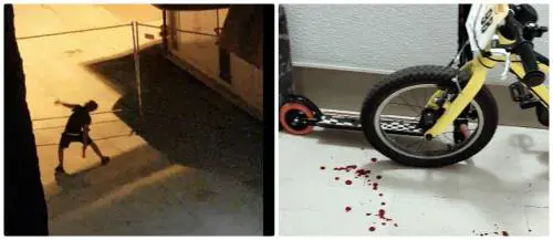 "Vi ammazzo": magrebino semina il terrore nel condominio