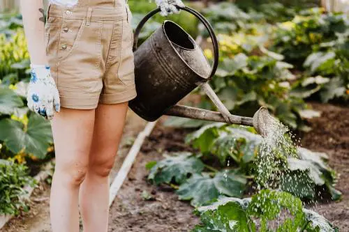 I "farmer" inglesi temono il futuro