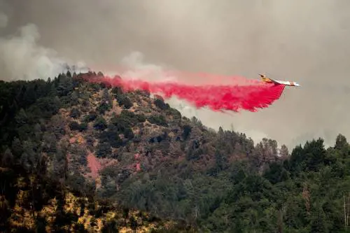 Il Canada paga bolla rovente e incendi:  picchi di 50 gradi, morte 719 persone