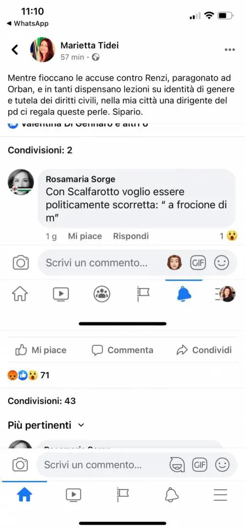 "Fr... di m...": se la candidata Pd fa commenti omofobi