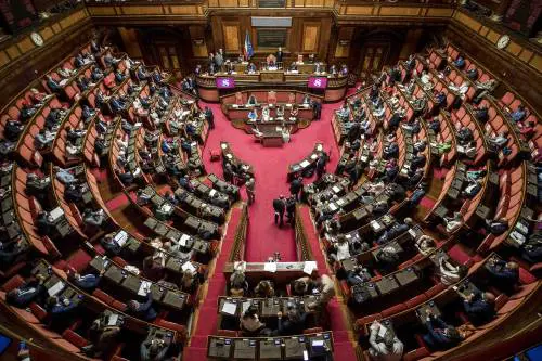 Passa il "ddl Zan mascherato": proteste al Senato