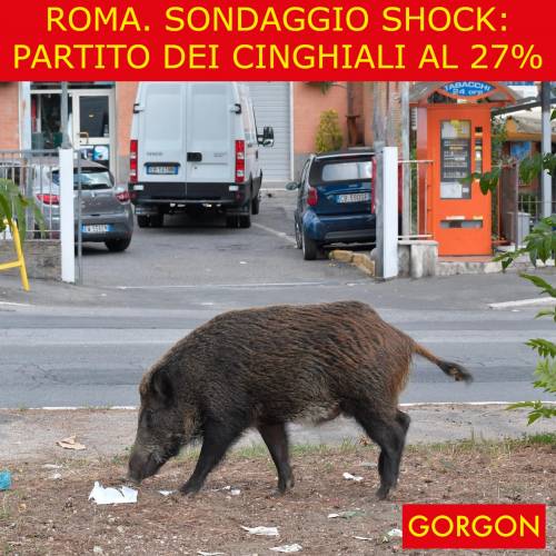 Ecco la satira del giorno. Roma: sondaggio choc