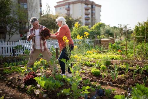 Fare l'orto: perché fa bene dopo i 60 anni