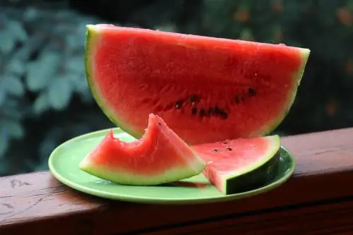 Cocomero, proprietà e benefici del frutto alleato della salute