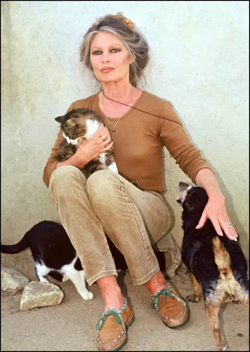 "Impongono rituali di sangue". E gli islamici ora minacciano la Bardot