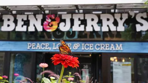 Il gelato "Ben & Jerry's" boicotta Israele. E Gerusalemme si schiera: "Inaccettabile"