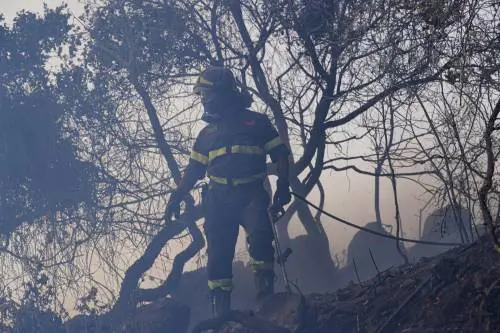 "Domani e dopo giorni di fuoco". Cresce l'allerta per gli incendi