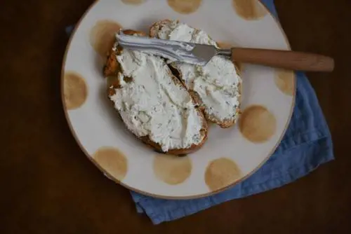 Un altro "cibo Frankestein": arriva pure il formaggio transgenico