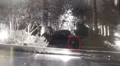 I ladri ripresi durante il furto a Paola Ferrari
