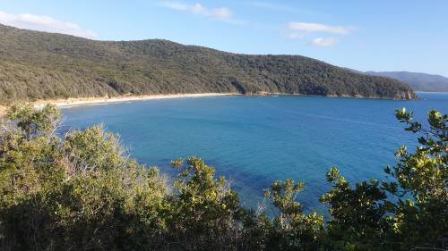 Cala Violina, si entra soltanto su prenotazione