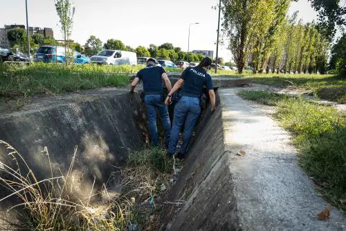 Stupro al parco Trenno, ritrovata in stato confusionale la 27enne americana
