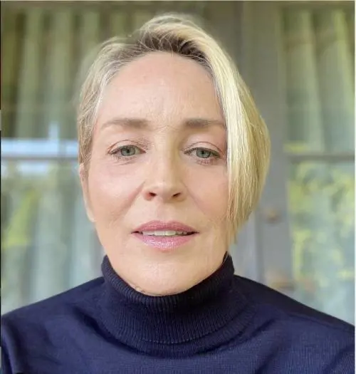 Non ce l'ha fatta il nipote di Sharon Stone, morto a 11 mesi per una grave malattia