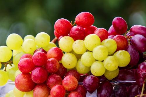Tutti i benefici dell'uva: il frutto dell'autunno complice del benessere