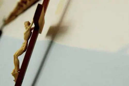 Torino, quella protesta radicale e il Crocifisso che ne fa le spese