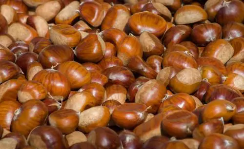Tutto sulle castagne, proprietà e benefici