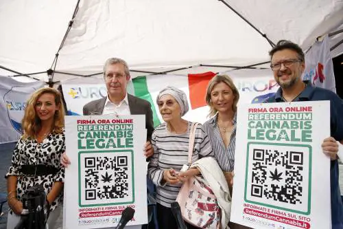 Già 500mila firme per legalizzare la cannabis. Ecco tutti i rischi del sì al referendum