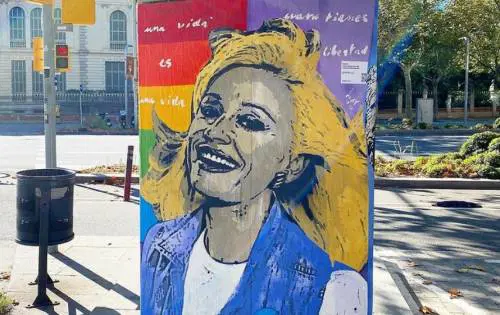 Sfregiato il murale della Carrà. L'artista lo rifà: "Il sorriso di Raffaella contro le offese"