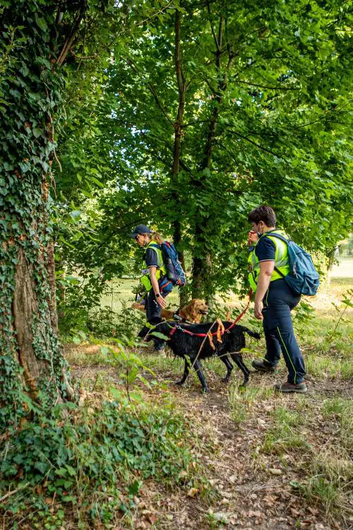 "Impiccato a un albero". Trovato il corpo di Giacomo Sartori