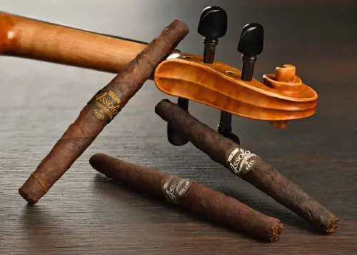 Toscano Assolo, una sinfonia di aromi 