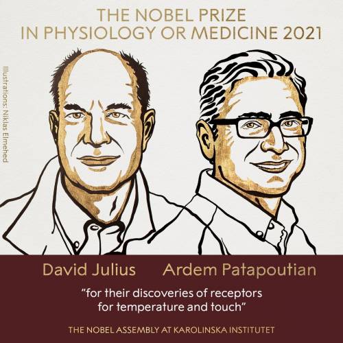 Il Nobel per la Medicina a chi ha svelato i "segreti" dei sensi
