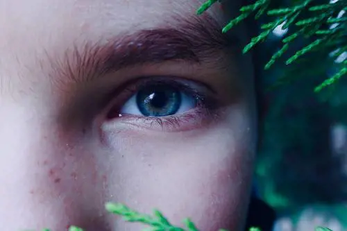 Collagene, quali sono gli alimenti che mantengono la pelle giovane