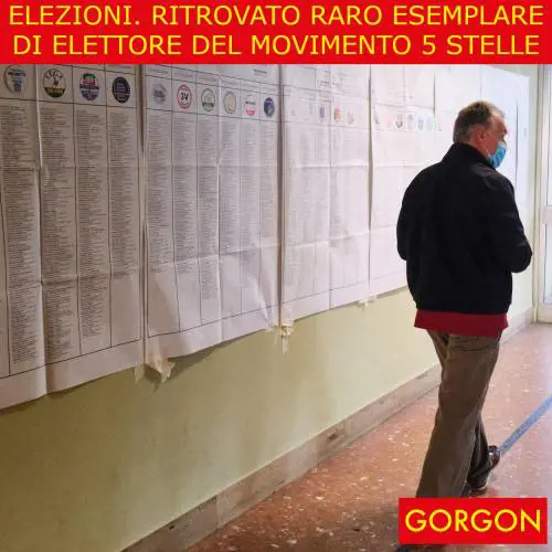 Ecco la satira del giorno. Ritrovato raro elettore