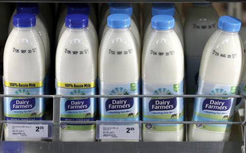 "Aumentare il prezzo del latte". Cosa succede agli allevamenti