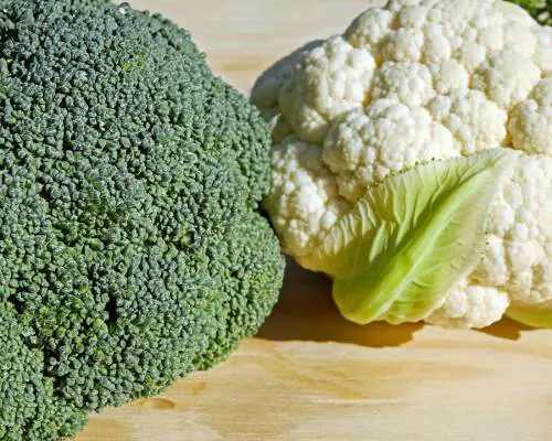 Ecco perché i broccoli non devono mancare a tavola
