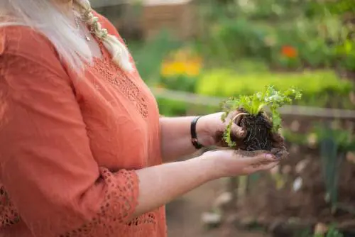 Orto in balcone: benefici e cosa coltivare in autunno
