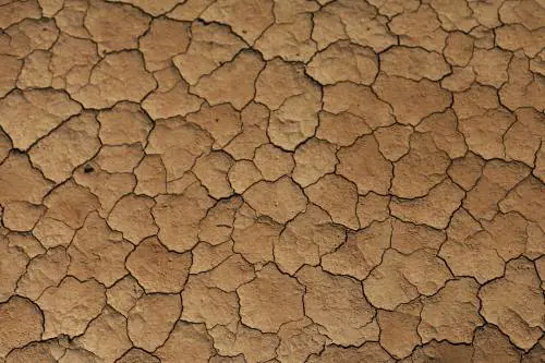 Il rischio globale ora è la scarsità