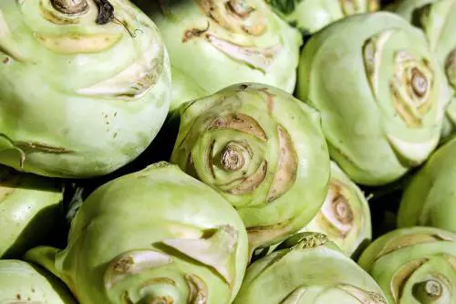 Cavolo cappuccio, l’ortaggio dall’effetto antitumorale