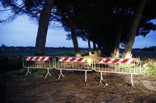 "Sequestrati migliaia di esemplari". Allerta per focolai di aviaria in Italia