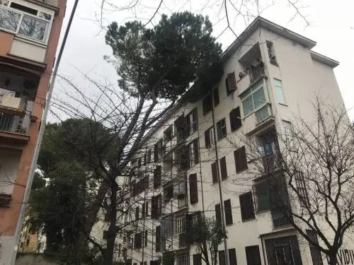 Troppe le case occupate abusivamente: c'è una talpa