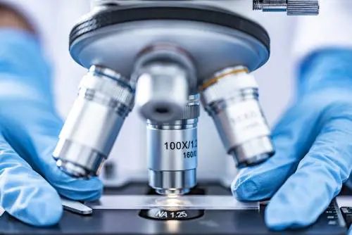 Hiv, secondo caso di guarigione dal virus senza farmaci